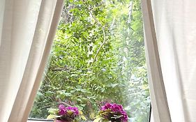 Cozy Apartment Floreasca